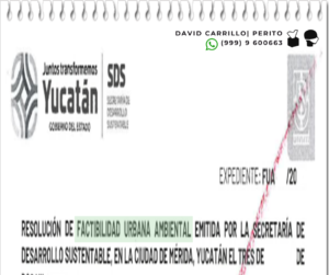 FUA Yucatan