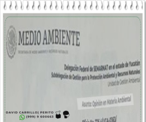 Opinion tecnica Yucatan