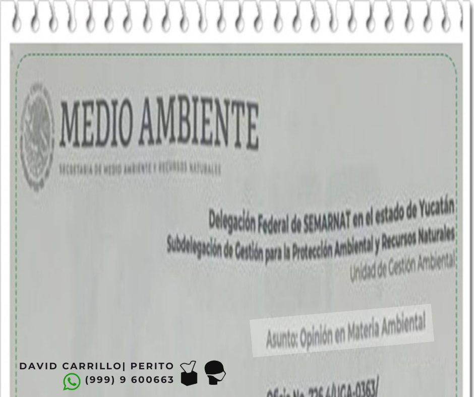 Opinion tecnica Yucatan
